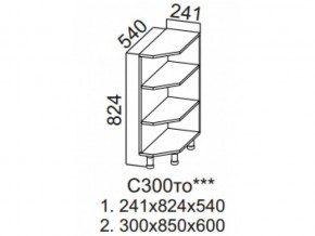 С300то Стол-рабочий 300 (торцевой открытый) в Кусе - kusa.magazin-mebel74.ru | фото