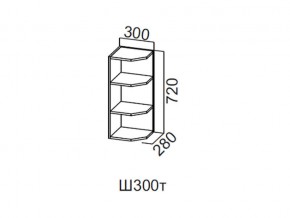 Ш300т/720 Шкаф навесной 300/720 (торцевой) в Кусе - kusa.magazin-mebel74.ru | фото