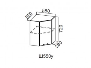 Ш550у/720 Шкаф навесной 550/720 (угловой) в Кусе - kusa.magazin-mebel74.ru | фото