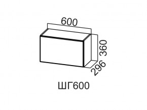 ШГ600/360 Шкаф навесной 600/360 (горизонт.) в Кусе - kusa.magazin-mebel74.ru | фото