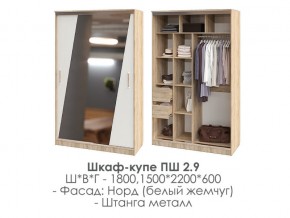 шкаф-купе ПШ-2.9 1500 Норд Белый жемчуг 1500 в Кусе - kusa.magazin-mebel74.ru | фото