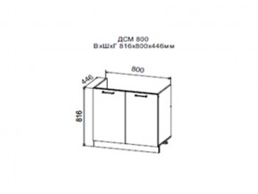 Шкаф нижний ДСМ800 под мойку в Кусе - kusa.magazin-mebel74.ru | фото