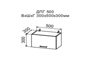 Шкаф верхний ДПГ500 горизонтальный в Кусе - kusa.magazin-mebel74.ru | фото