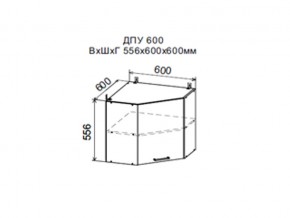 Шкаф верхний ДПУ600 угловой в Кусе - kusa.magazin-mebel74.ru | фото