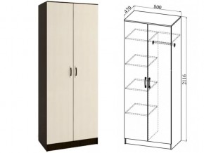 ШКР800.2 Шкаф 2х-створчатый комби в Кусе - kusa.magazin-mebel74.ru | фото