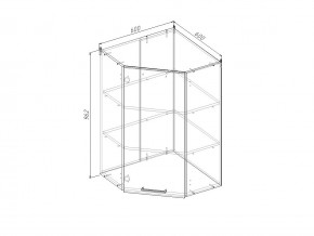 ВУ9 Модуль верхний Угловой МВУ9 в Кусе - kusa.magazin-mebel74.ru | фото